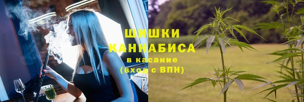 спиды Нефтекумск