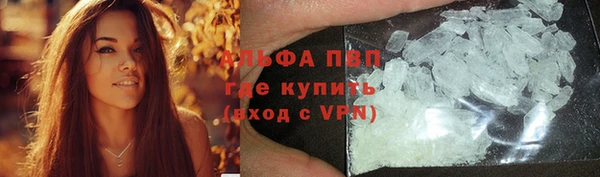спиды Нефтекумск