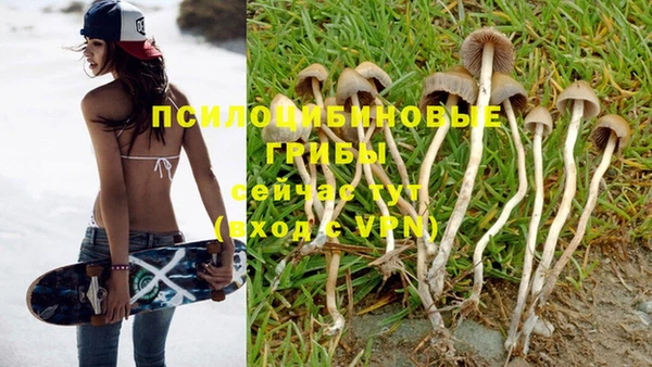 мескалин Нефтегорск