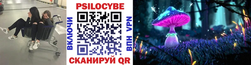 Купить где  Ртищево  Галлюциногенные грибы ЛСД 